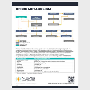 Opioid Metabolism